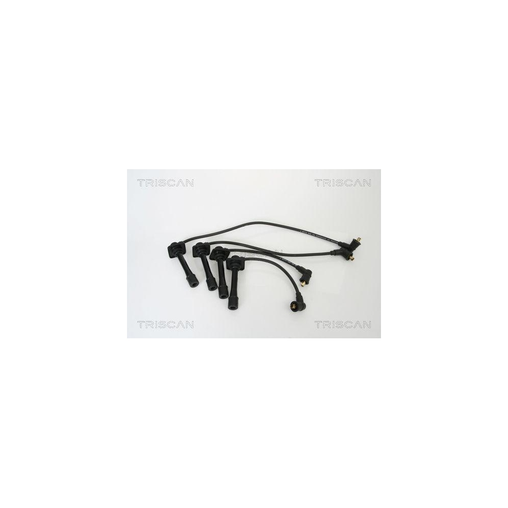 Z&uuml;ndleitungssatz TRISCAN 8860 50005 f&uuml;r