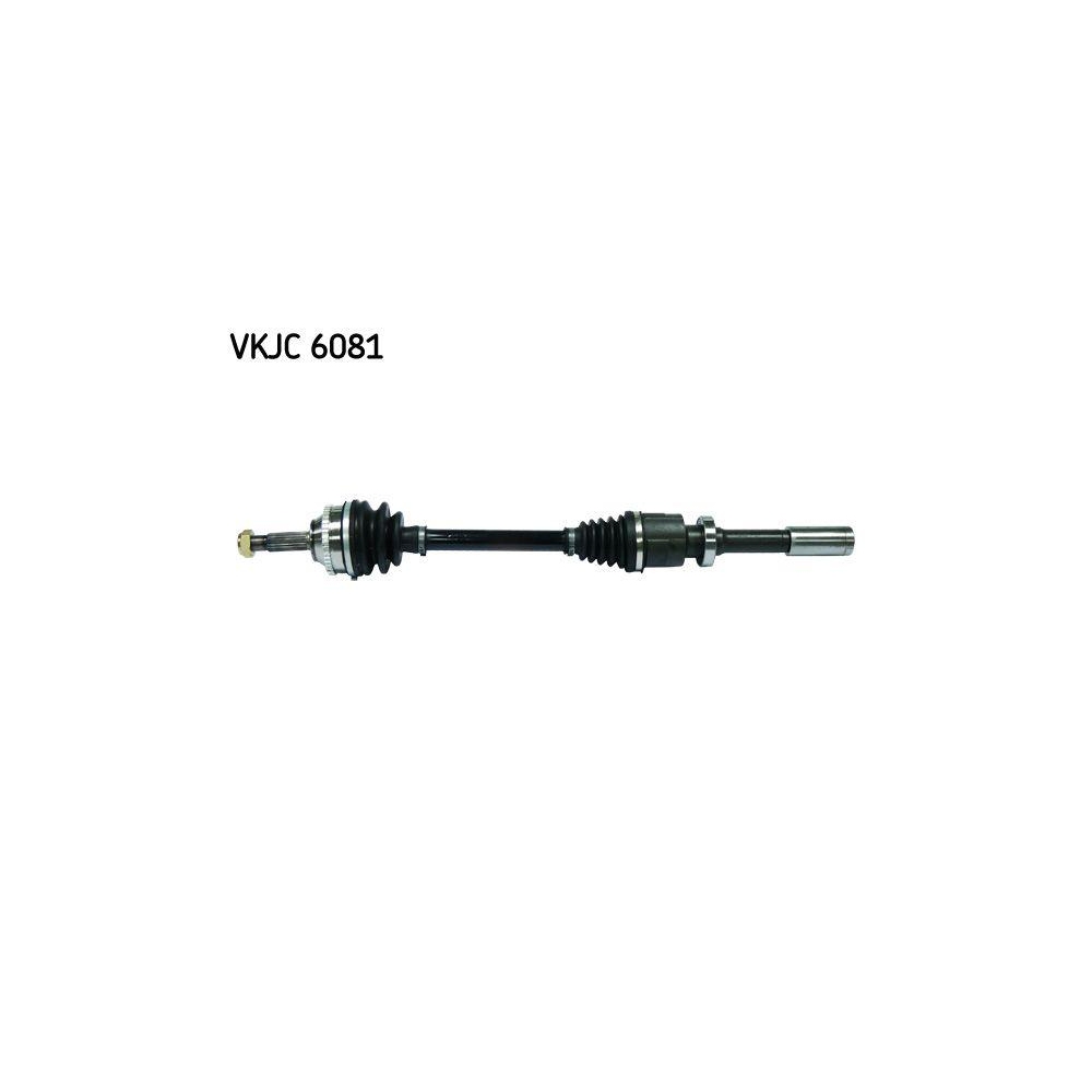 Antriebswelle SKF VKJC 6081 f&uuml;r RENAULT, Vorderachse rechts