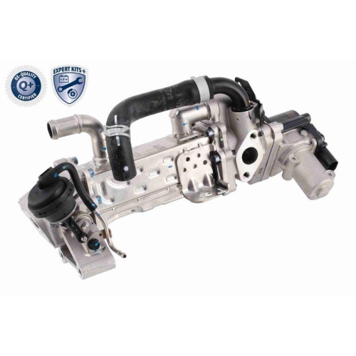 ACKOJA A52-63-0019 AGR-Modul EXPERT KITS + f&uuml;r HYUNDAI KIA