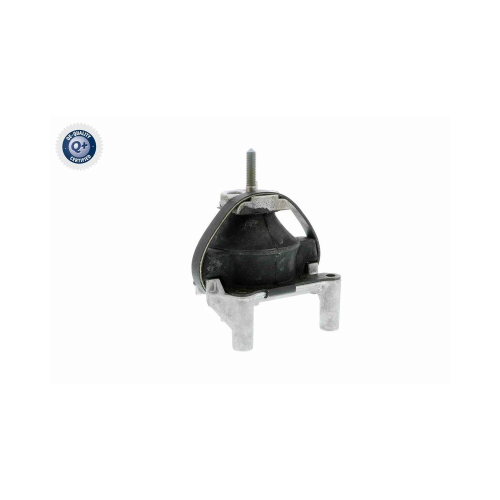 Lagerung, Motor VAICO V50-0031 Q+, Erstausr&uuml;sterqualit&auml;t f&uuml;r SAAB, hinten