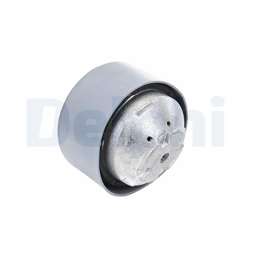 DELPHI TEM134 Lagerung, Motor f&uuml;r MERCEDES-BENZ, links, rechts, vorne