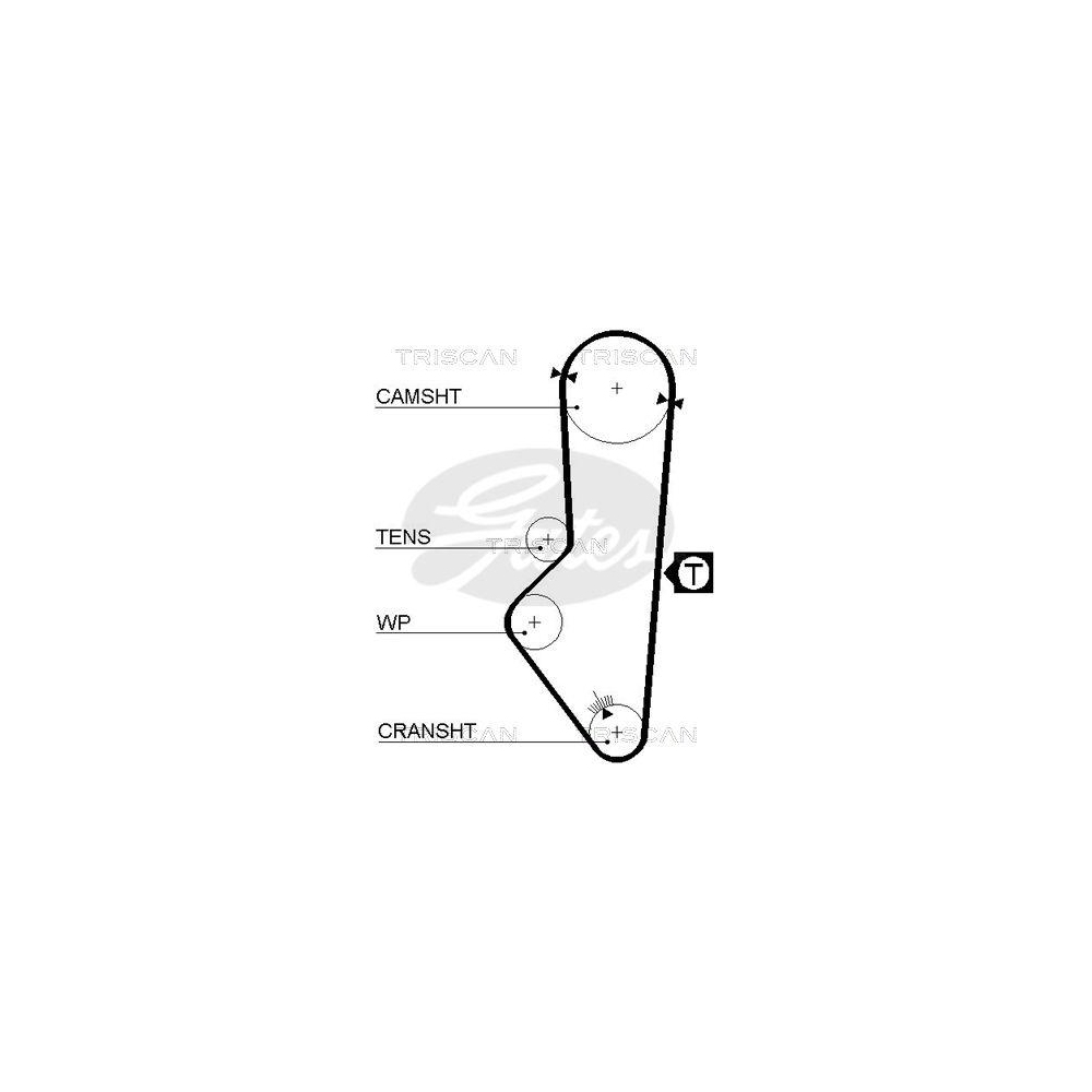 Zahnriemen TRISCAN 8645 5253xs f&uuml;r AUSTIN MG MORRIS ROVER TRIUMPH DANA