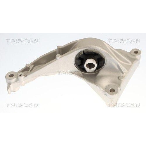 TRISCAN 8505 81104 Lagerung, Motor f&uuml;r TESLA, Vorderachse links