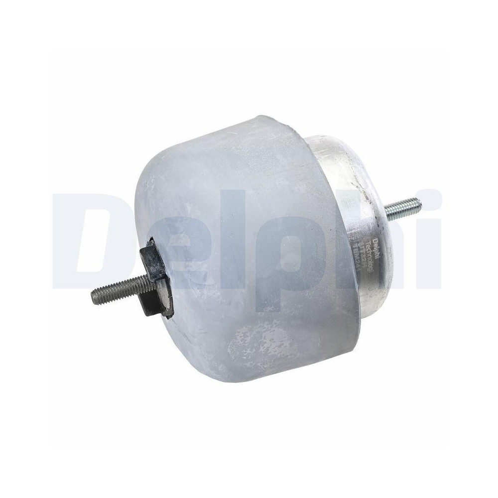 DELPHI TEM241 Lagerung, Motor f&uuml;r AUDI SKODA VW, hinten, rechts, vorne