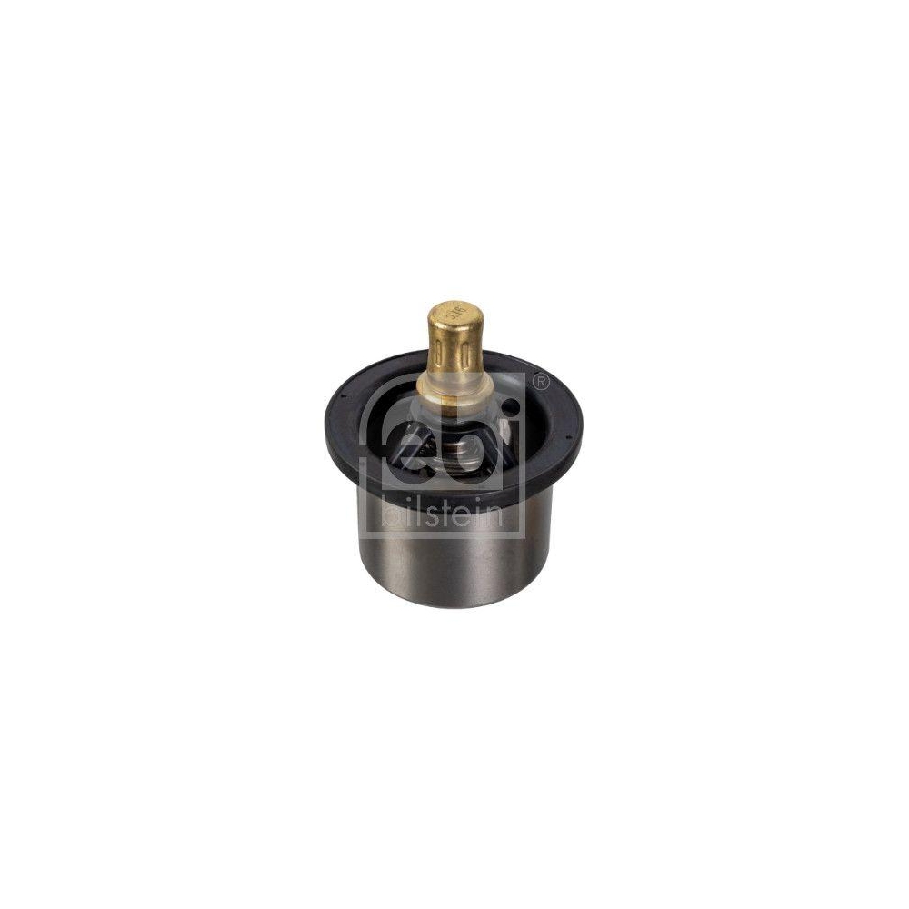 FEBI BILSTEIN Thermostat, K&uuml;hlmittel 176605 f&uuml;r DAF