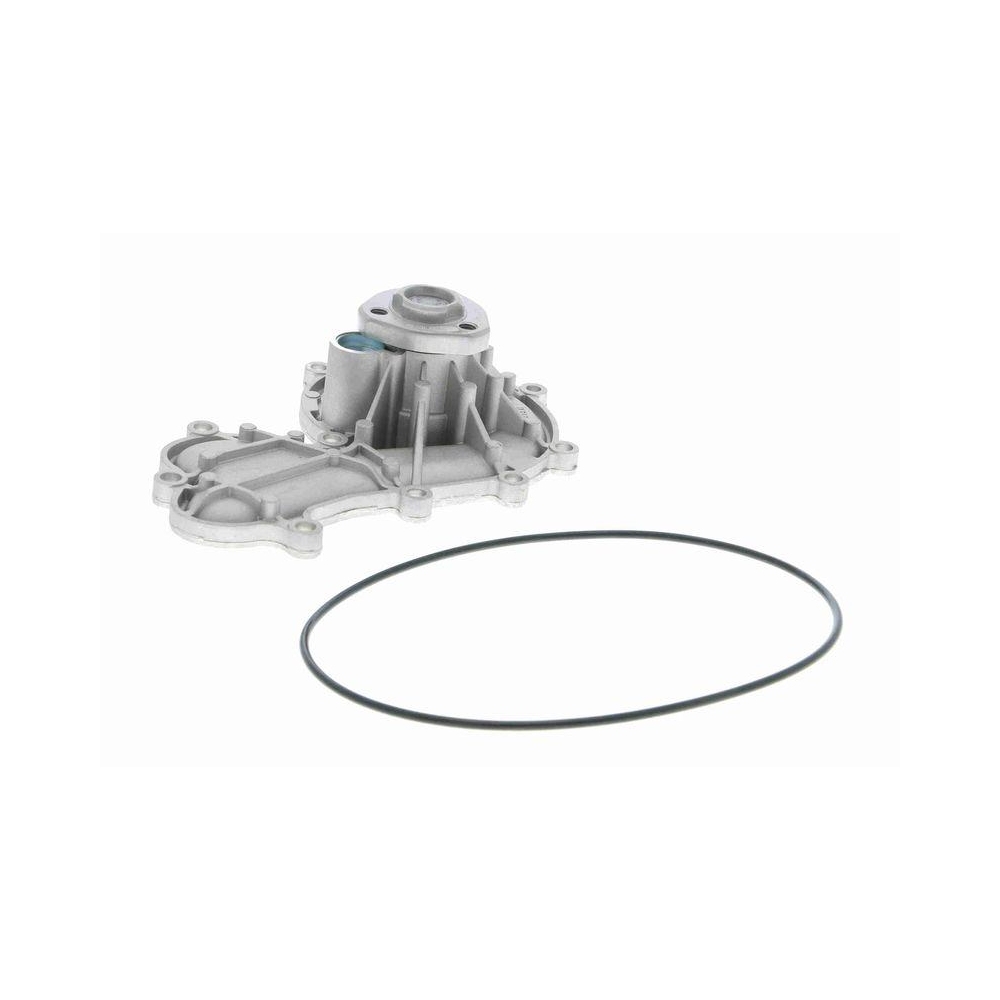 Wasserpumpe, Motork&uuml;hlung VAICO V10-50079 Original VAICO Qualit&auml;t f&uuml;r AUDI SEAT