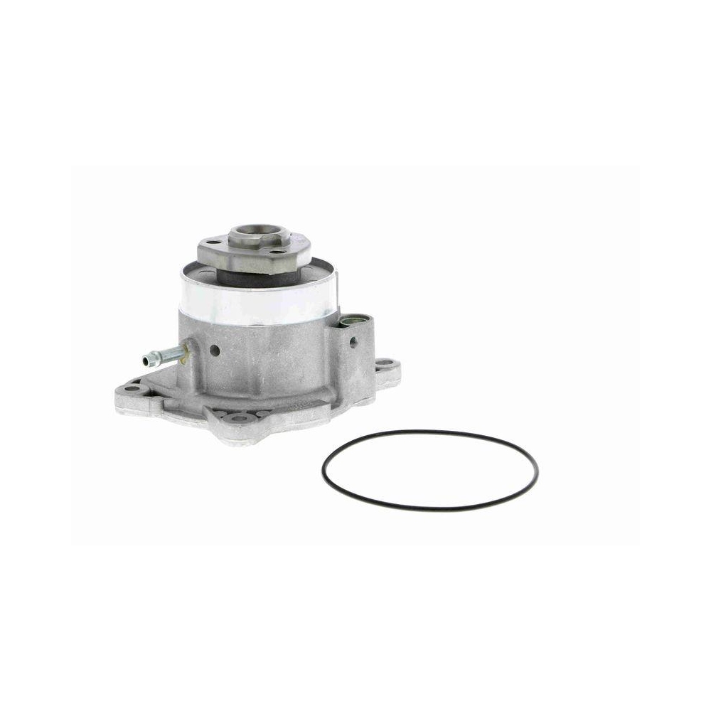 Wasserpumpe, Motork&uuml;hlung VAICO V10-50081 Original VAICO Qualit&auml;t f&uuml;r AUDI SEAT