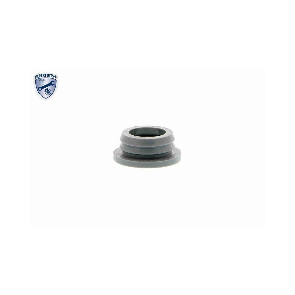 Dichtung, Kurbelgehäuseentlüftung VAICO V20-0002 Original VAICO Qualität für BMW