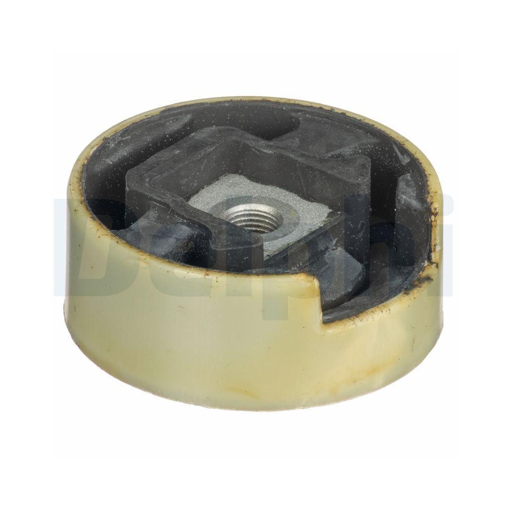 DELPHI TEM124 Lagerung, Motor für AUDI SEAT SKODA VW, hinten, karosserieseitig