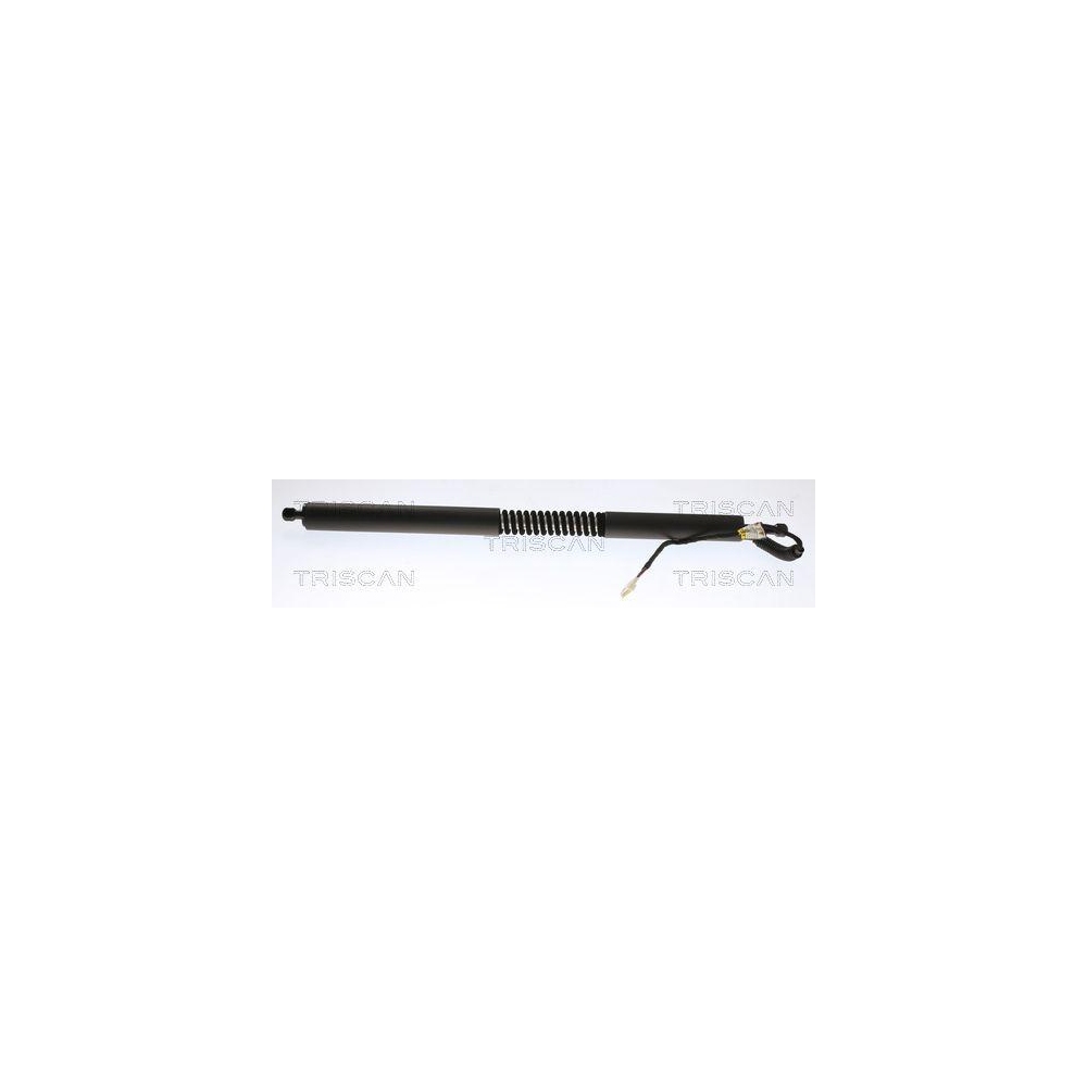 Gasfeder, Koffer-/Laderaum TRISCAN 8710 11355 für BMW, hinten rechts