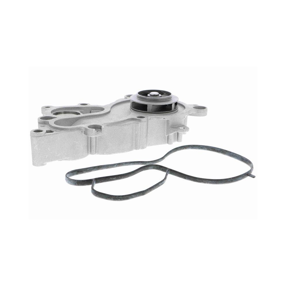 Wasserpumpe, Motork&uuml;hlung VAICO V10-50093 Green Mobility Parts f&uuml;r AUDI SEAT VW