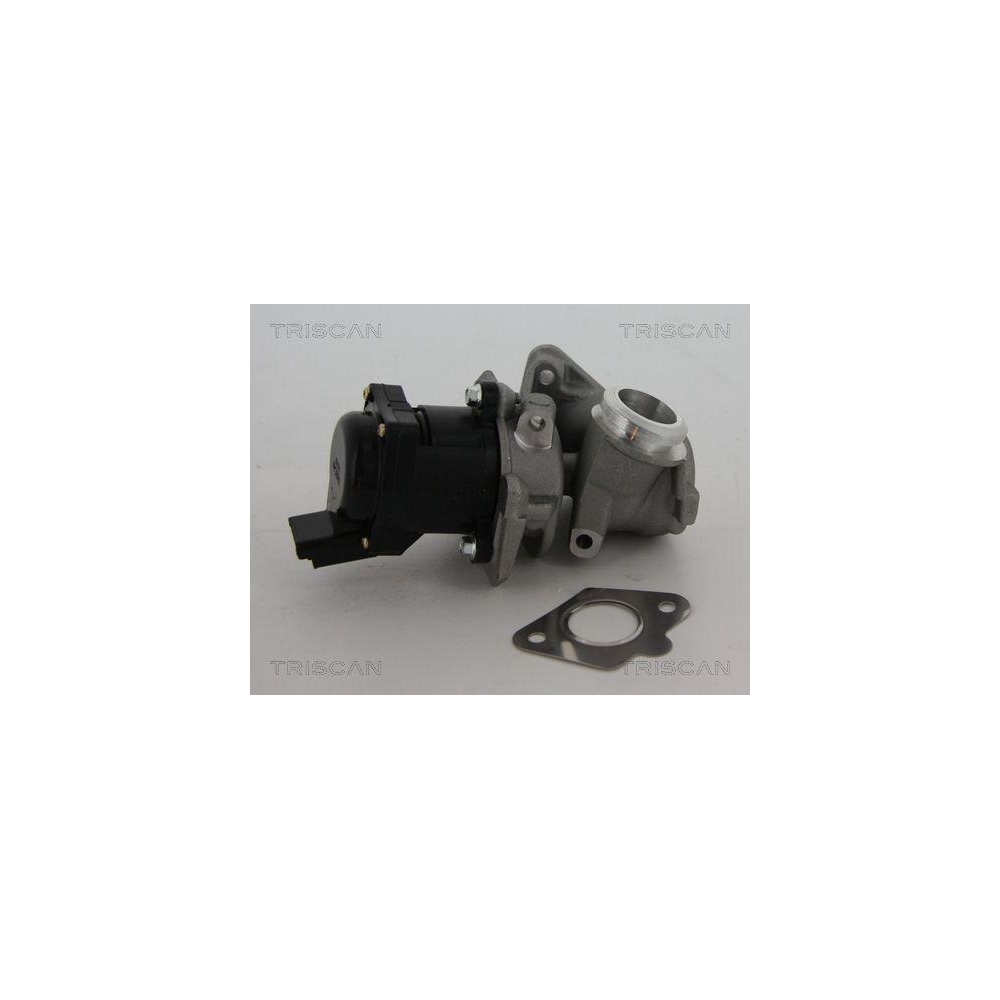 AGR-Ventil TRISCAN 8813 10010 f&uuml;r CITRO&Euml;N FIAT PEUGEOT SUZUKI HITACHI