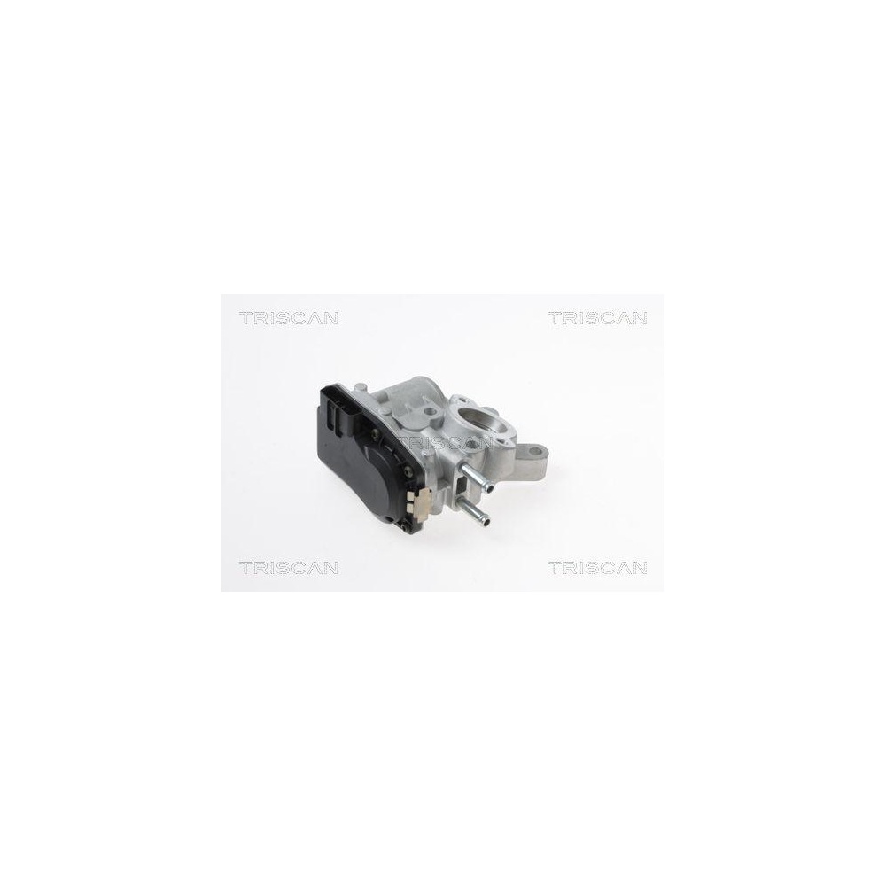 AGR-Ventil TRISCAN 8813 14100 f&uuml;r NISSAN