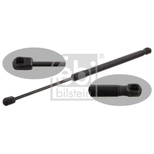 FEBI BILSTEIN Gasfeder, Koffer-/Laderaum 31647 f&uuml;r VW, beidseitig