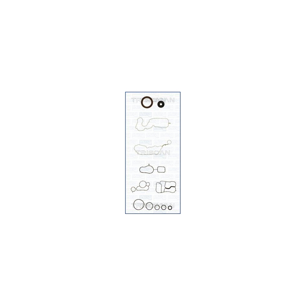 Dichtungssatz, Kurbelgehäuse TRISCAN 595-85144 für