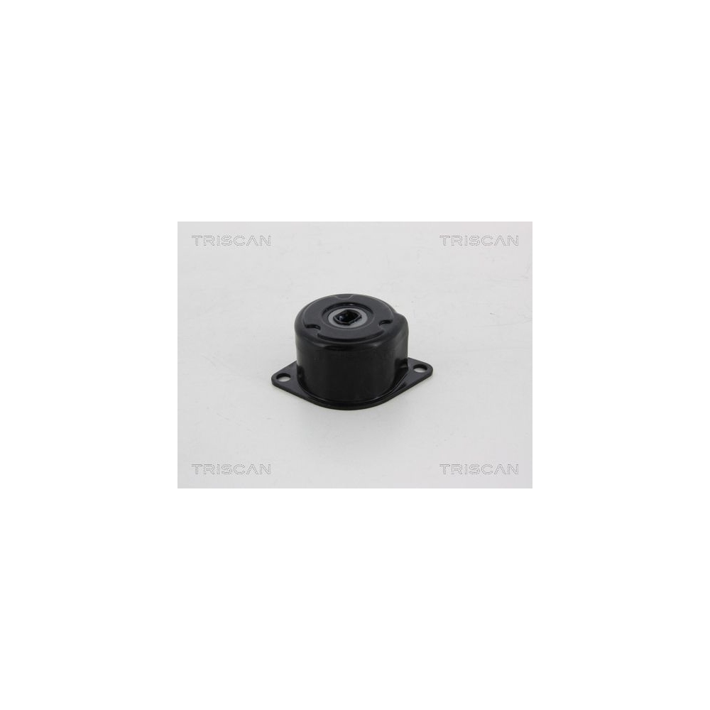 Riemenspanner, Keilrippenriemen TRISCAN 8641 293043 f&uuml;r SKODA
