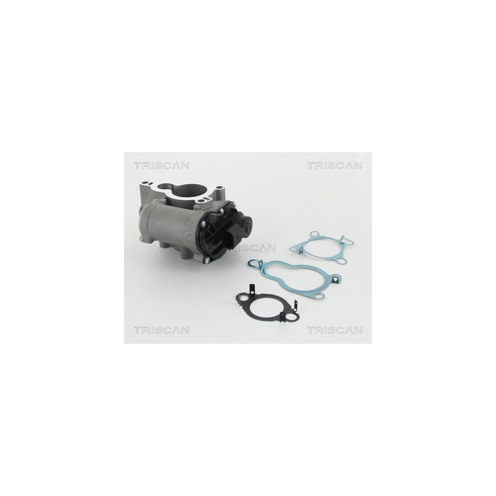 AGR-Ventil TRISCAN 8813 25010 für OPEL RENAULT
