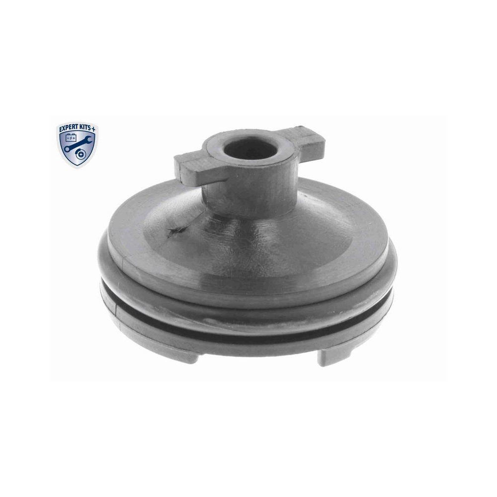 Verschlussschraube, Ölwanne VAICO V25-1116 EXPERT KITS + für CITROËN FORD