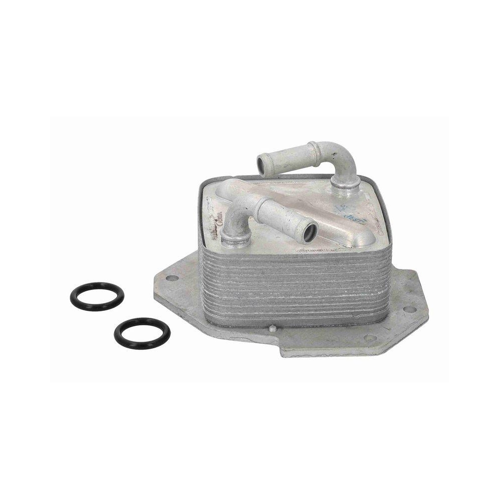 &Ouml;lk&uuml;hler, Motor&ouml;l ACKOJA A32-60-0010 Original ACKOJA Qualit&auml;t f&uuml;r MAZDA