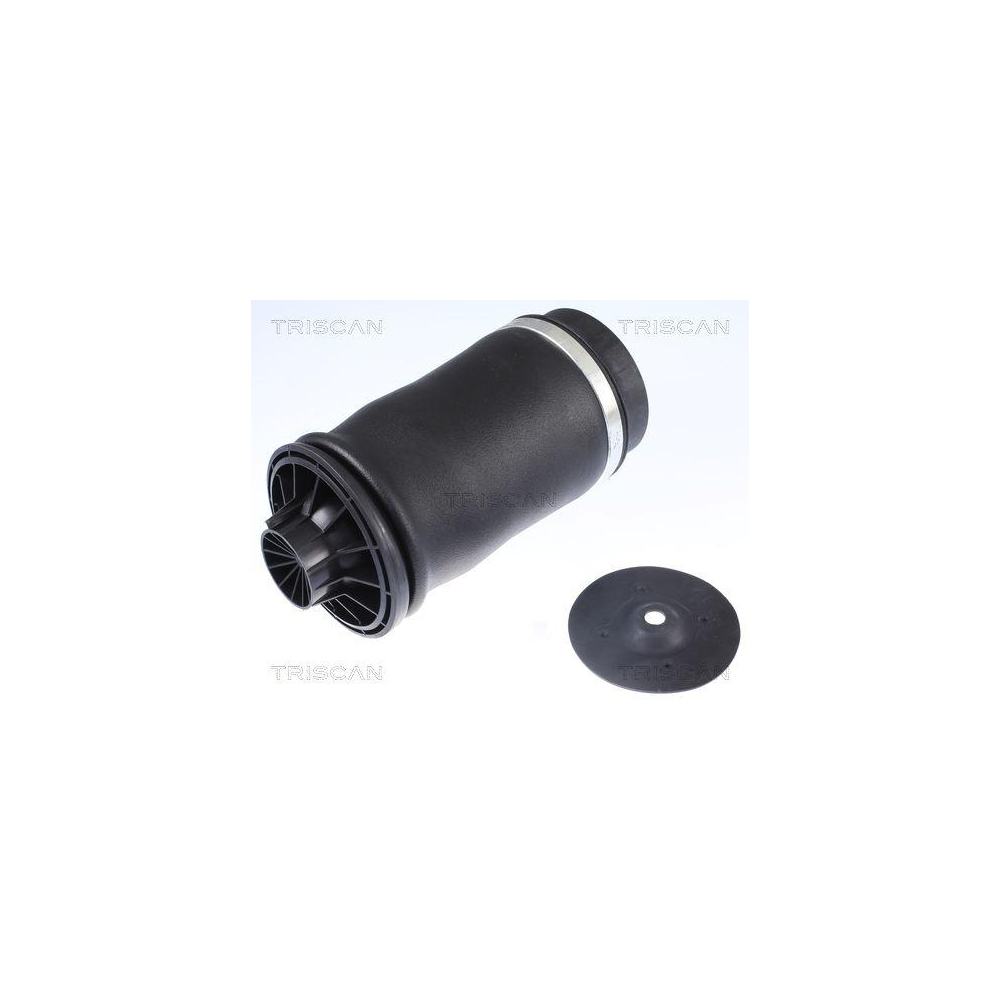 Luftfeder, Fahrwerk TRISCAN 8720 23204 f&uuml;r MERCEDES-BENZ, Hinterachse beidseitig