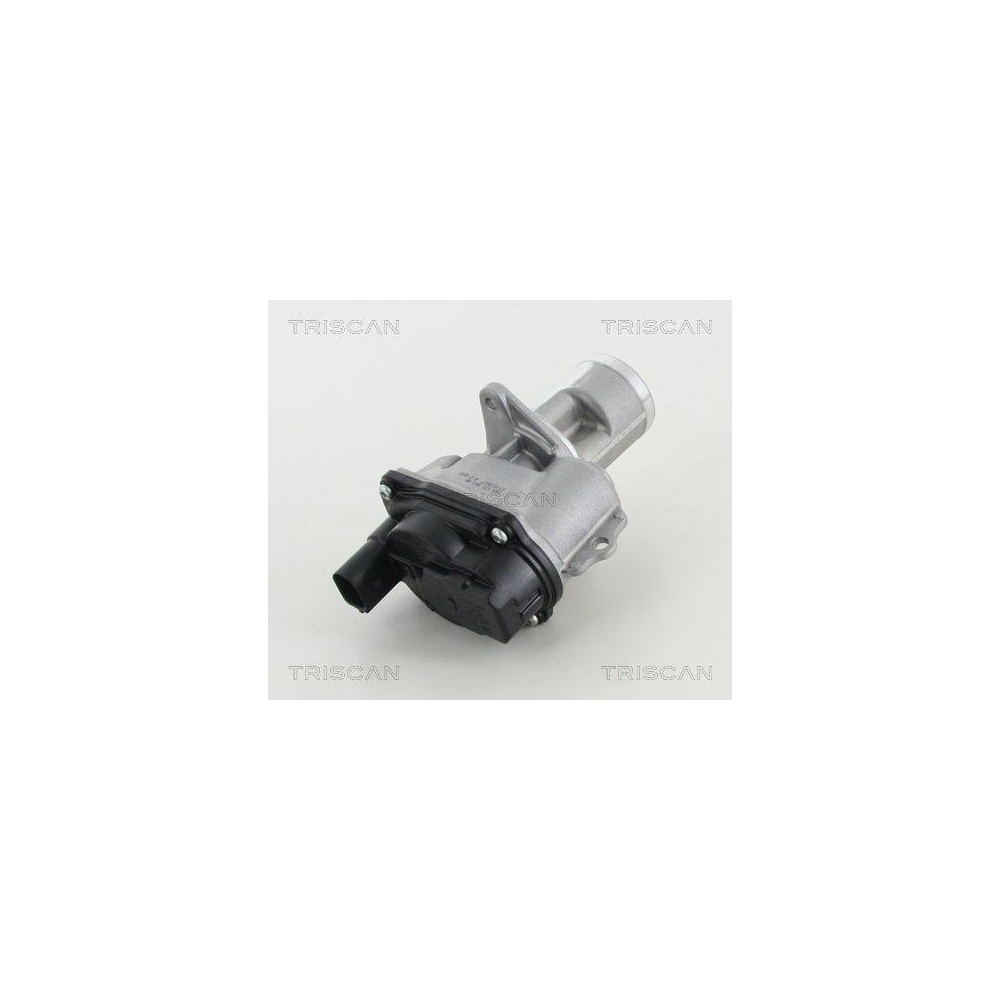 AGR-Ventil TRISCAN 8813 29065 f&uuml;r AUDI PORSCHE VW