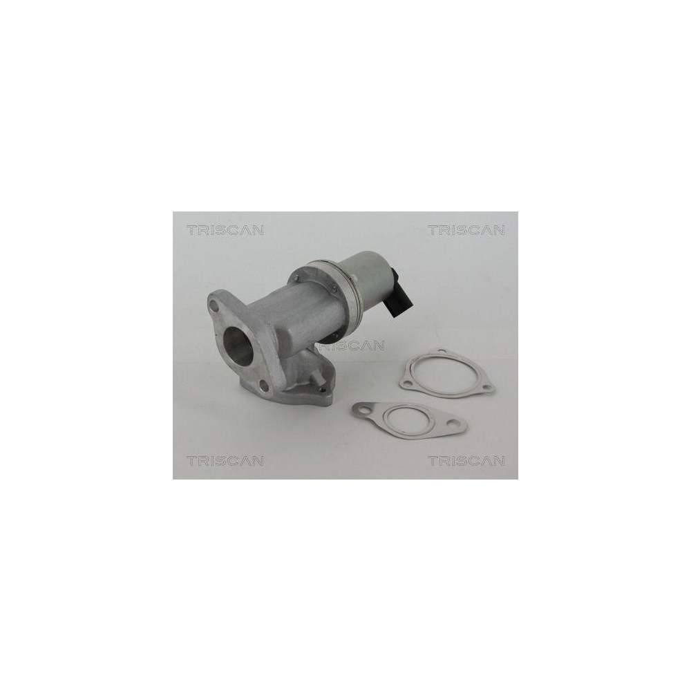 AGR-Ventil TRISCAN 8813 43002 f&uuml;r HYUNDAI KIA HITACHI