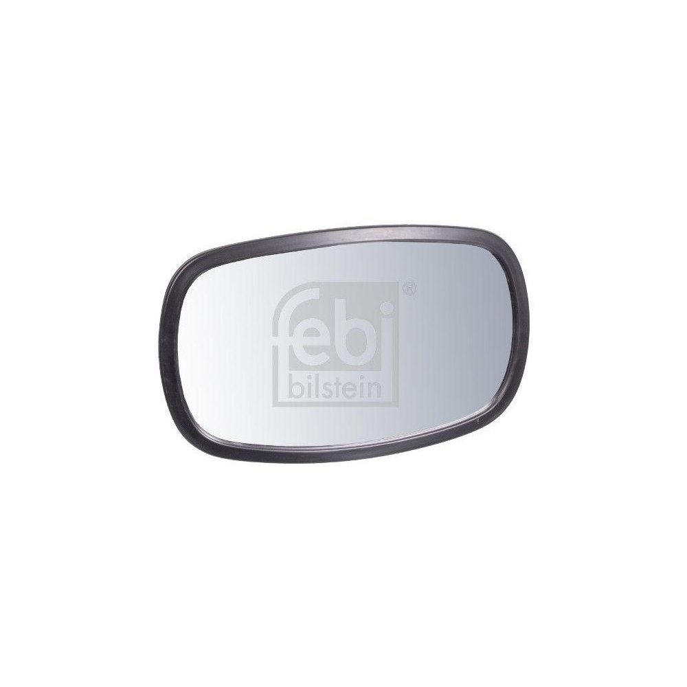 Rampenspiegel FEBI BILSTEIN 101391 für DAF SCANIA, beidseitig