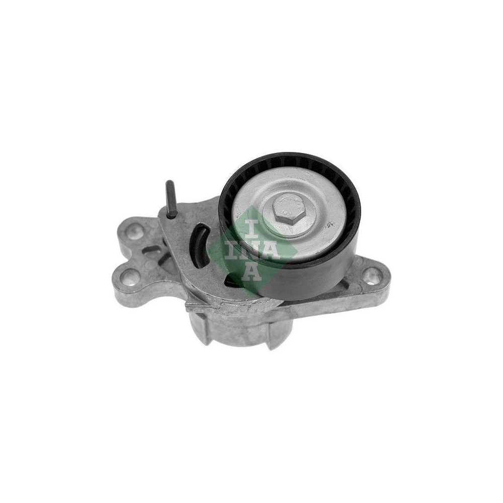 Riemenspanner, Keilrippenriemen Schaeffler INA 534 0179 10 für CITROËN FIAT