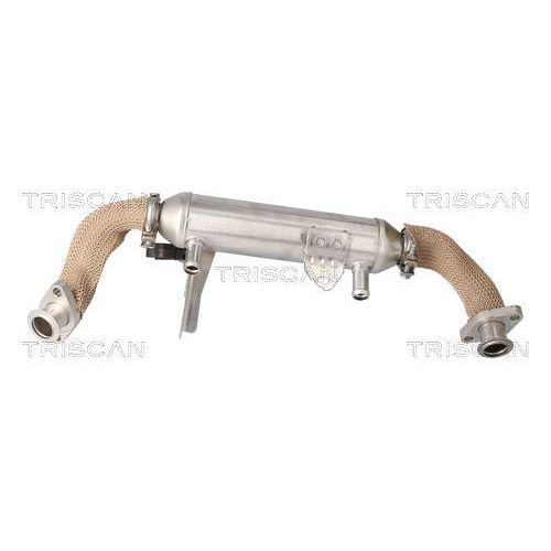 TRISCAN 8813 15079 K&uuml;hler, Abgasr&uuml;ckf&uuml;hrung f&uuml;r ALFA ROMEO FIAT LANCIA