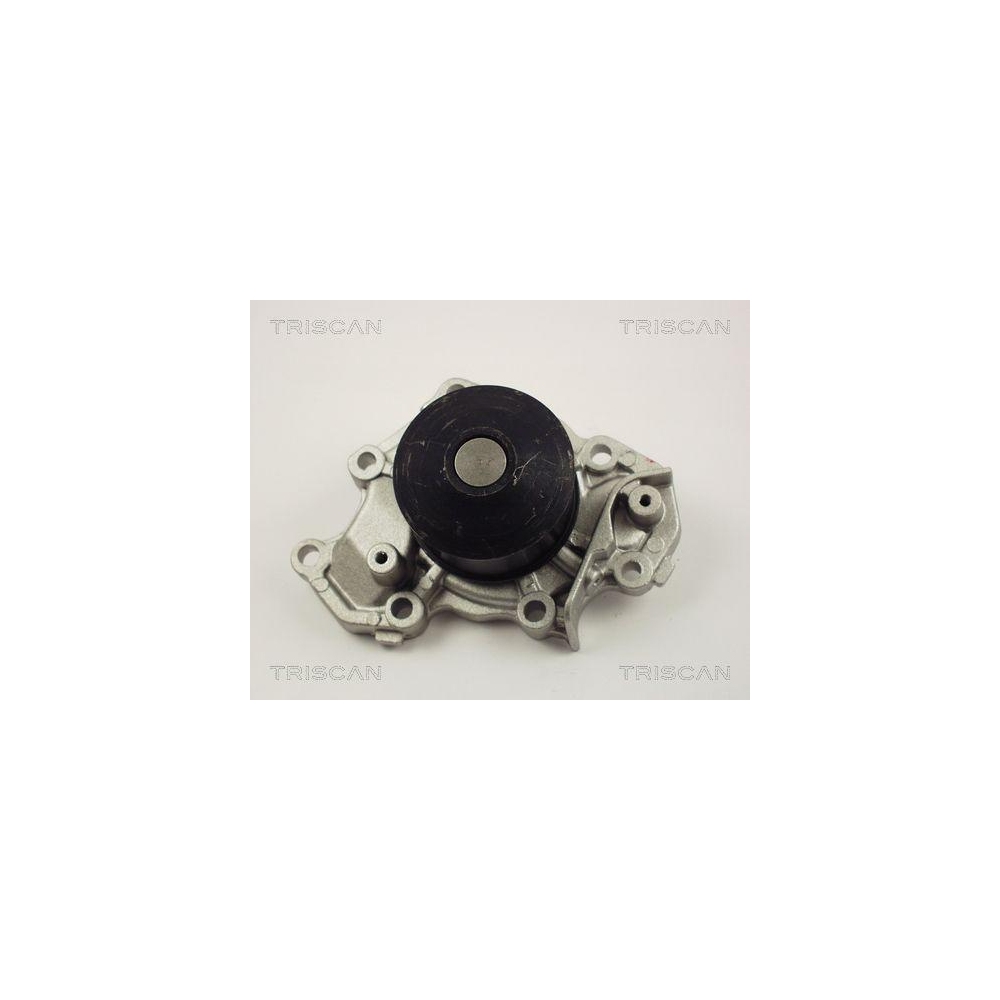 Wasserpumpe, Motork&uuml;hlung TRISCAN 8600 42013 f&uuml;r MITSUBISHI
