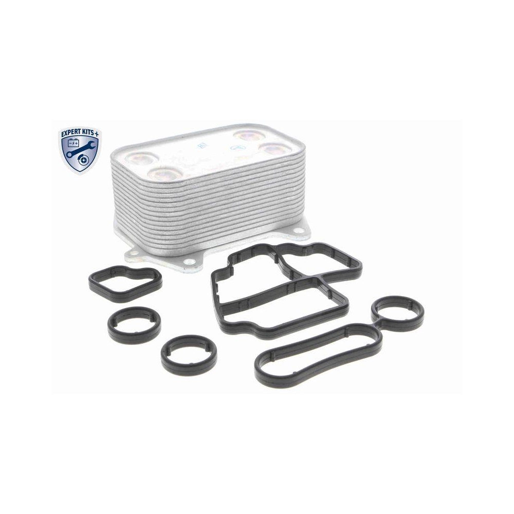 &Ouml;lk&uuml;hler, Motor&ouml;l VEMO V15-60-6061 EXPERT KITS + f&uuml;r AUDI SEAT SKODA VW VAG