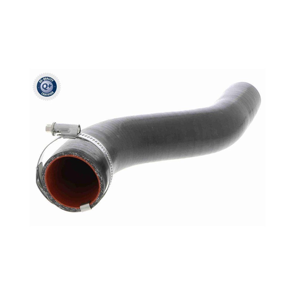 Ladeluftschlauch VAICO V46-0738 Q+, Erstausr&uuml;sterqualit&auml;t f&uuml;r RENAULT