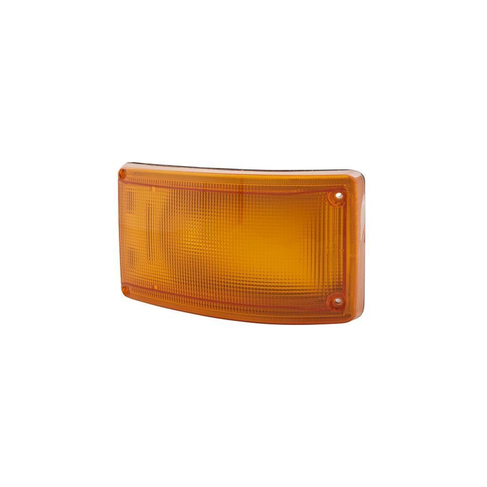 HELLA Blinkleuchte 2BA 005 603-011 für AUWÄRTER DAF IKARUS MAN SCANIA VOLVO TAM