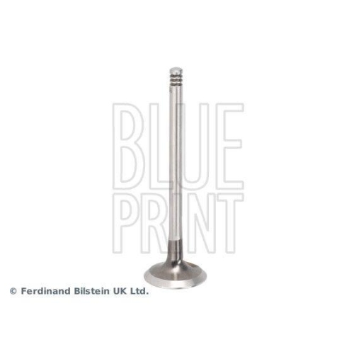 BLUE PRINT ADBP610481 Auslassventil f&uuml;r MERCEDES-BENZ NISSAN RENAULT SUZUKI