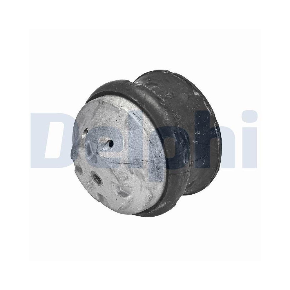 DELPHI TEM132 Lagerung, Motor f&uuml;r MERCEDES-BENZ, links, rechts, vorne