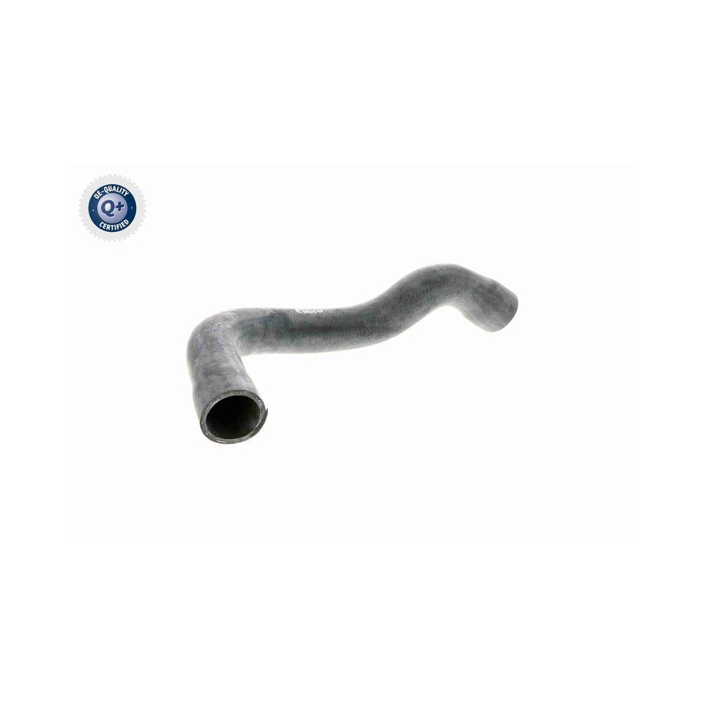 Kühlerschlauch VAICO V20-1242 Q+, Erstausrüsterqualität für BMW, unten