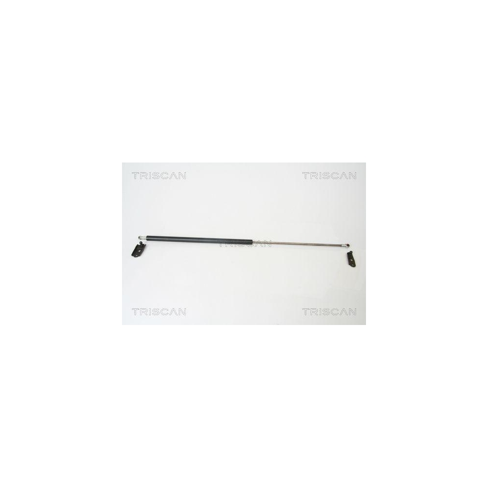 Gasfeder, Koffer-/Laderaum TRISCAN 8710 13252 für TOYOTA, hinten rechts, rechts