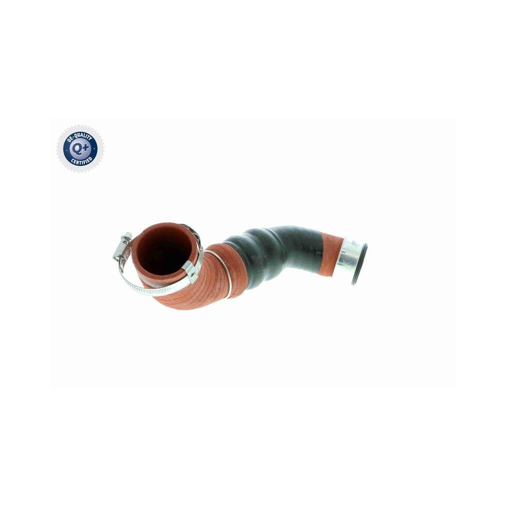 Ladeluftschlauch VAICO V10-2919 Q+, Erstausrüsterqualität für AUDI SEAT SKODA VW