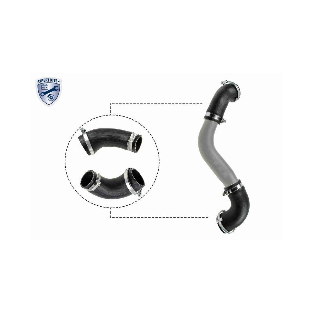Ladeluftschlauch VAICO V25-1921 EXPERT KITS + für FORD PORSCHE