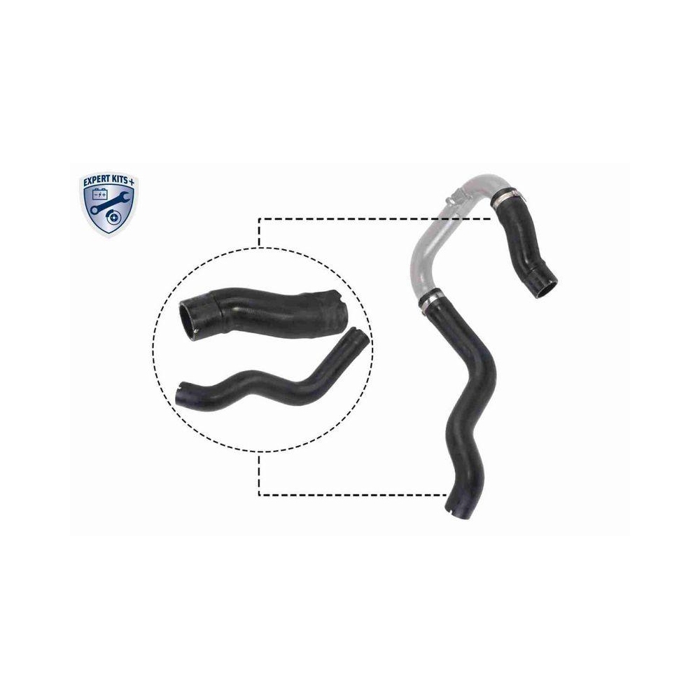Ladeluftschlauch VAICO V24-0731 EXPERT KITS + für FIAT