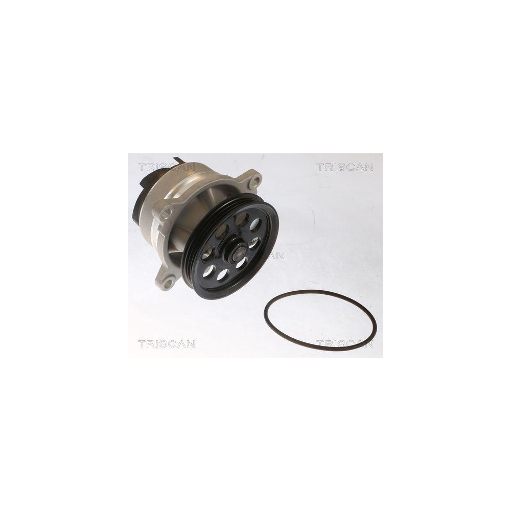 Wasserpumpe, Motork&uuml;hlung TRISCAN 8600 16076 f&uuml;r FORD FORD USA