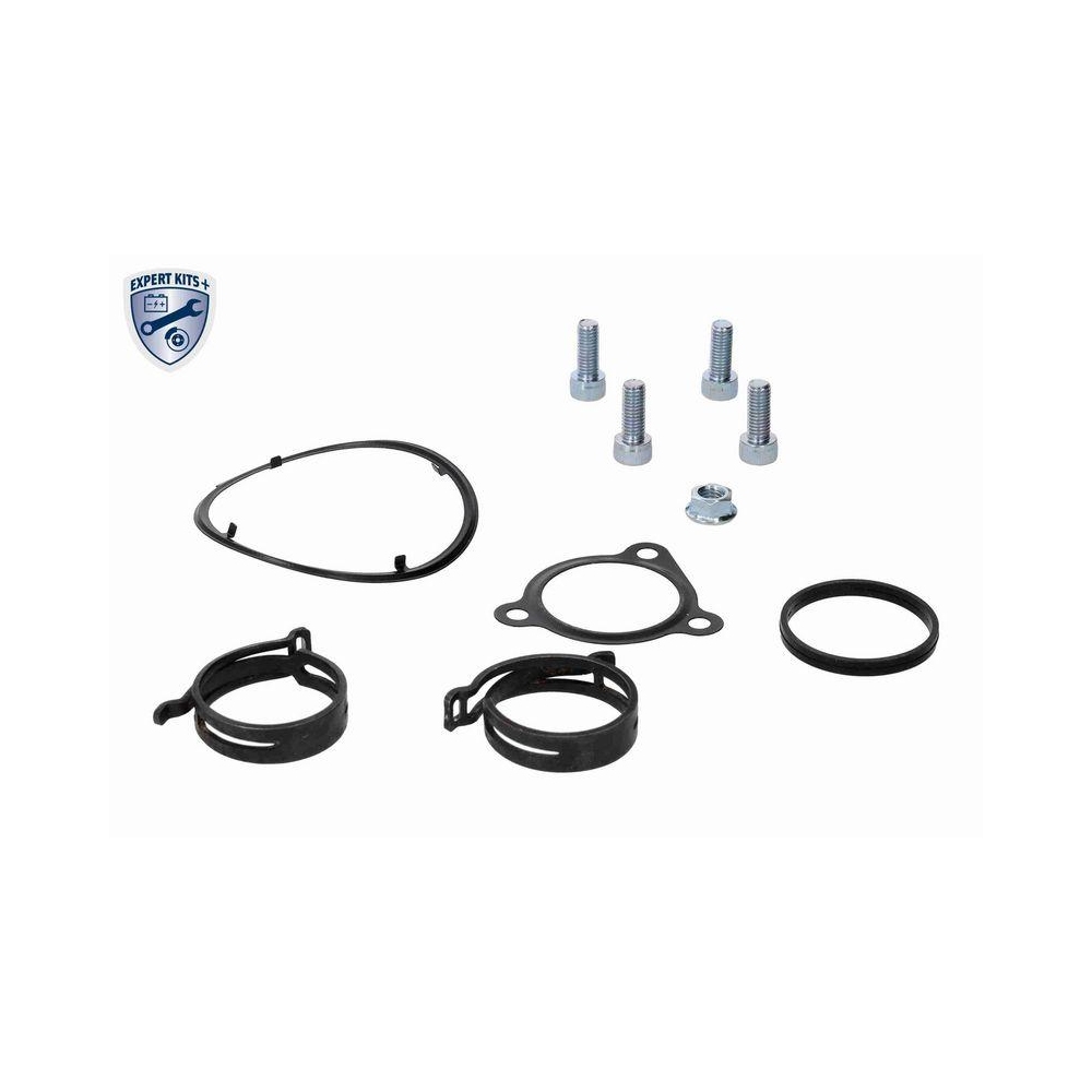 Dichtungssatz, AGR-System VEMO V10-63-9170 EXPERT KITS + für AUDI