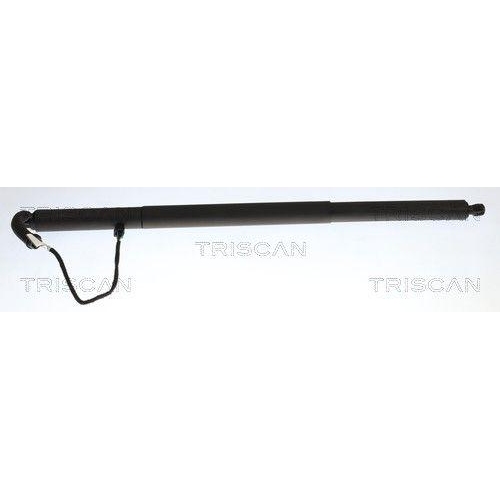 TRISCAN 8710 29334 Gasfeder, Koffer-/Laderaum f&uuml;r VW, links, rechts