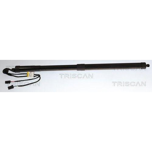 TRISCAN 8710 38302 Gasfeder, Koffer-/Laderaum f&uuml;r CITRO&Euml;N, rechts