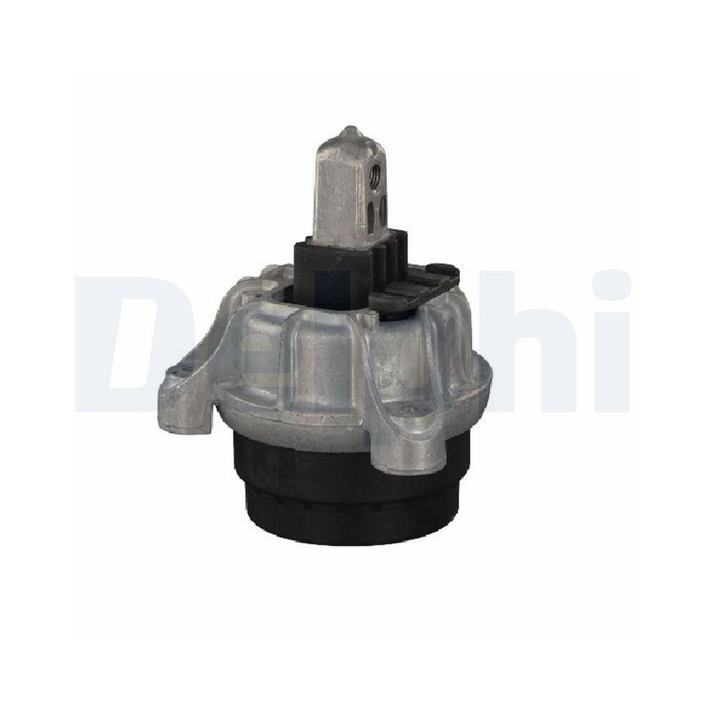 DELPHI TEM253 Lagerung, Motor f&uuml;r BMW, hinten, links, rechts, vorne