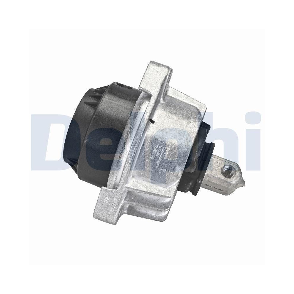 DELPHI TEM255 Lagerung, Motor f&uuml;r BMW, beidseitig, links, rechts, vorne