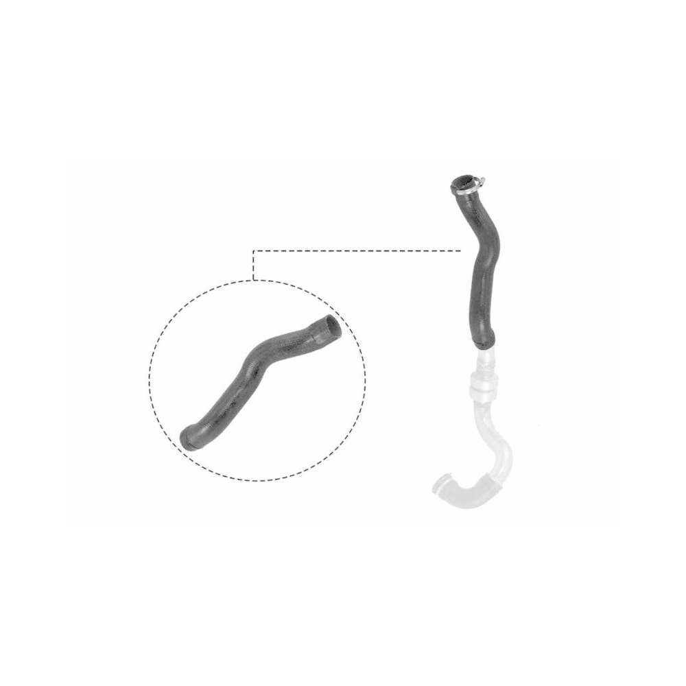 Ladeluftschlauch VAICO V21-0025 Q+, Erstausrüsterqualität für DACIA