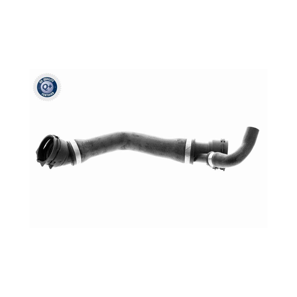Kühlerschlauch VAICO V20-1331 Q+, Erstausrüsterqualität für BMW, unten