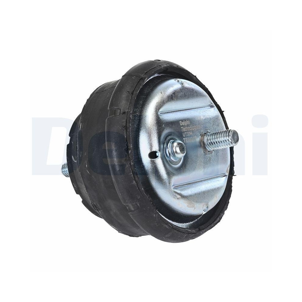 Lagerung, Motor DELPHI TEM257 für BMW, links, rechts, vorne