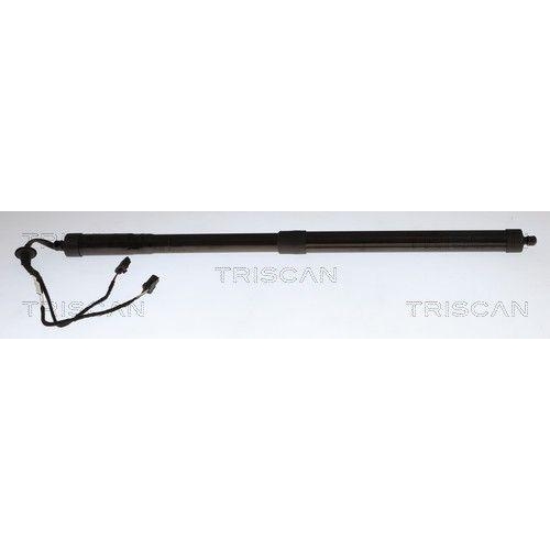 TRISCAN 8710 38301 Gasfeder, Koffer-/Laderaum f&uuml;r CITRO&Euml;N, links